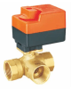 Motorized Valves