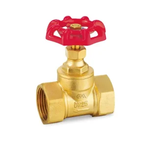 ZL-6110 Gate Valves